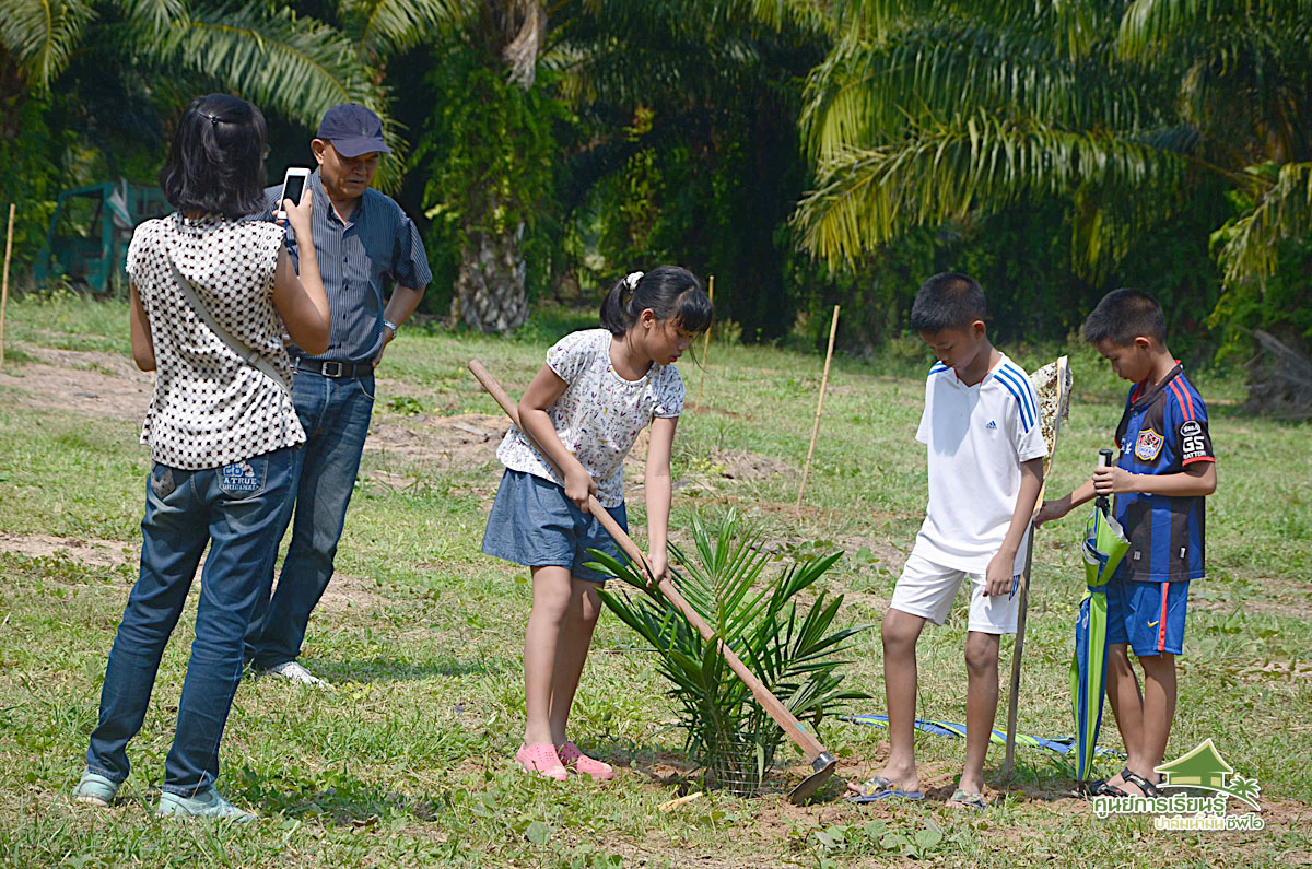 palm oil, palm, ทำสวนปาล์ม, palm oil farm, cpi, ศูนย์การเรียนรู้ปาล์มน้ำมัน, ซ๊พีไอ