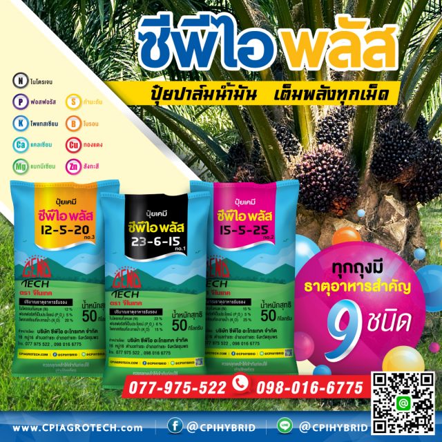 My Image 12