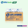พันธุ์ปาล์มน้ำมัน ซีพีไอ ไฮบริด TS 1 (CPI HYBRID TS 1)